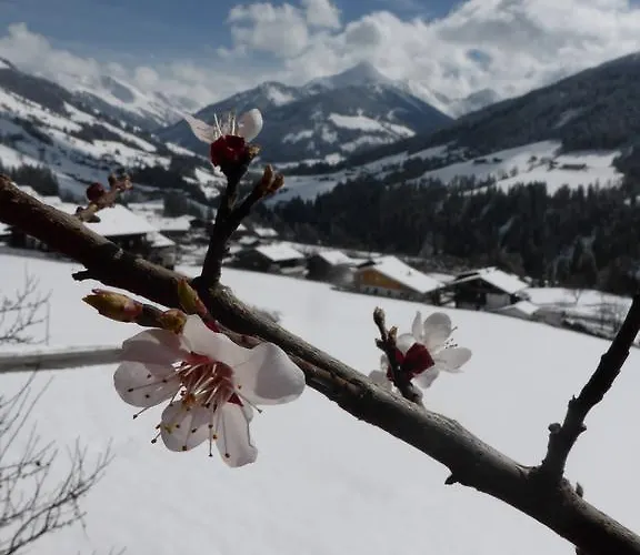 Appartamento Heachhof *